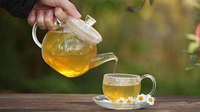 詳情圖-綠茶與甘菊杯