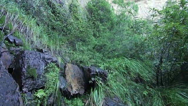自然森林中徒步旅行者的POV与岩石