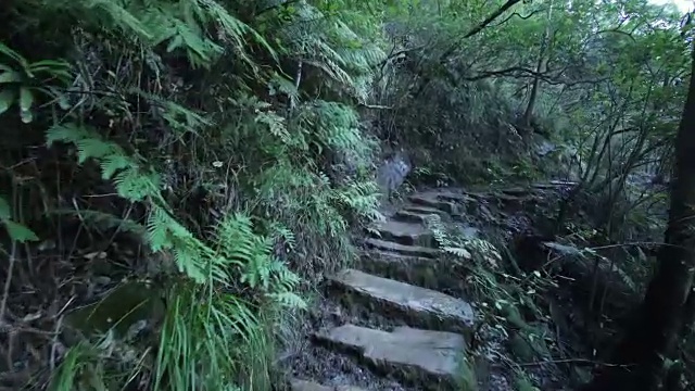 天然森林中有岩石徒步路线的徒步者的POV