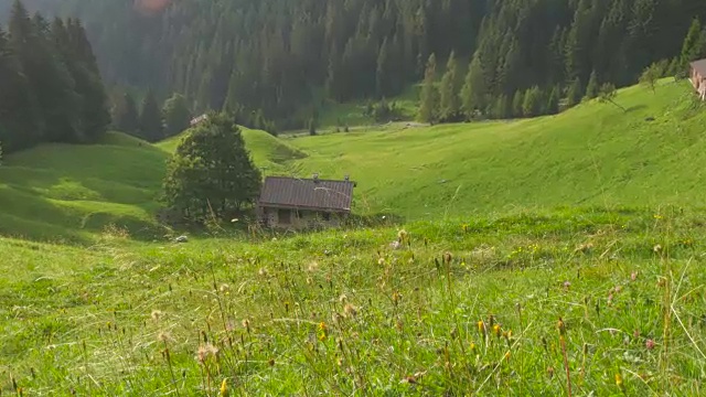 意大利野生高山山谷和森林中的石头小屋