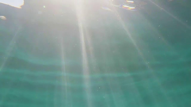 阳光在水面上闪闪发光