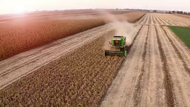 秋日日落，大豆收获。空中镜头。