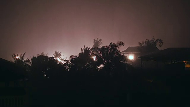 阵风在暴雨中吹着棕榈树的剪影(延时)