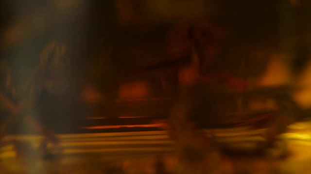 把开水倒进玻璃杯里的茶叶的微距镜头。冲泡红茶。在玻璃透明茶壶中冲泡花草茶过程的微距镜头