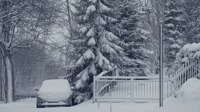 有车的雪道。冬天的风景，飘落的雪花，覆盖着新鲜的粉末。