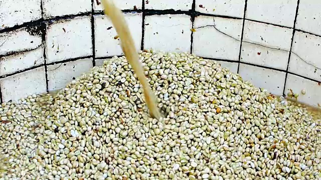 100%有机阿拉比卡咖啡豆，在泰国北部清莱采用湿法发酵和清洗的方法加工。