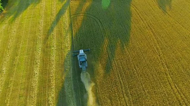 FHD全高清鳥瞰圖。低空飛過聯(lián)合收割機，在黃色的田野里收割小麥