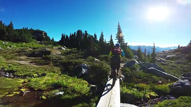 骑山地车穿过惠斯勒的高山。