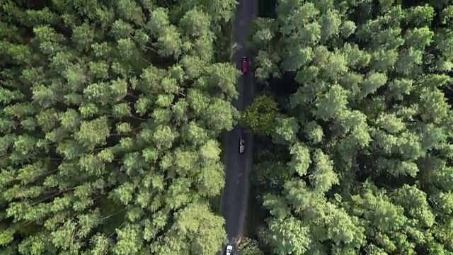K电影化的无人机镜头-飞过道路。在一片美丽的森林中发现了一条道路，路上有汽车在行驶