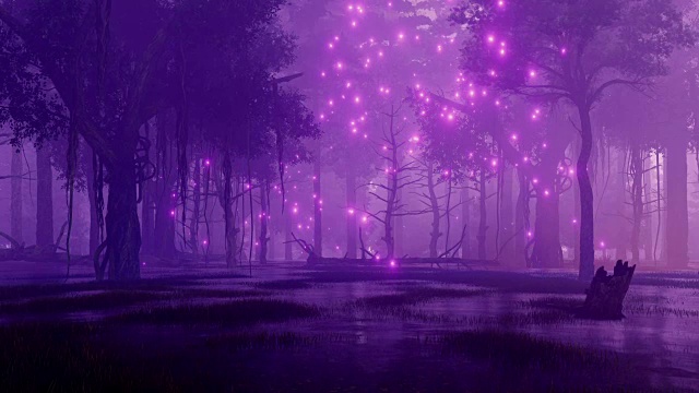 夜森林沼泽与神秘的萤火虫光