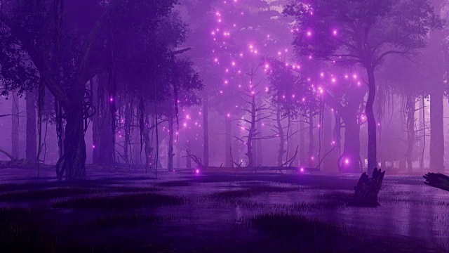 詳情圖-夜森林沼澤與神秘的螢火蟲光