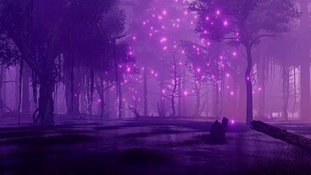 詳情圖-夜森林沼澤與神秘的螢火蟲光