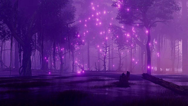 詳情圖-夜森林沼澤與神秘的螢火蟲光