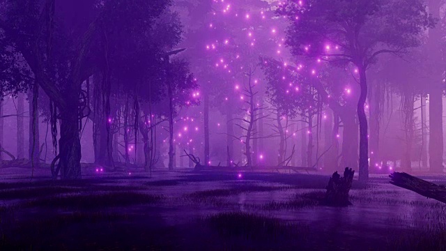 詳情圖-夜森林沼澤與神秘的螢火蟲光