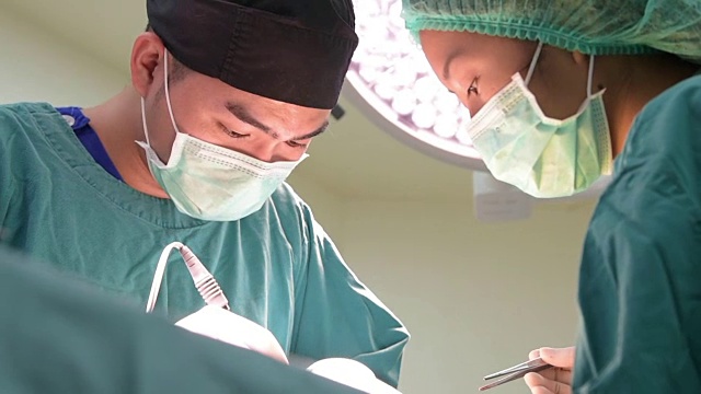 两个兽医手术