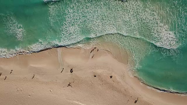 海边海滩鸟瞰图。美丽的热带海滩自然景观视频。俯视图航空视频美丽的自然景观与热带海滩在坎昆，墨西哥。加勒比海，珊瑚礁，俯视图