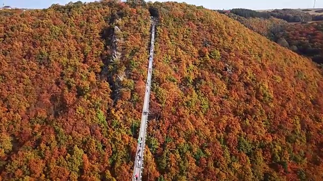 人们在Geierlay (Hangeseilbrucke Geierlay)吊桥上行走的鸟瞰图，德国。