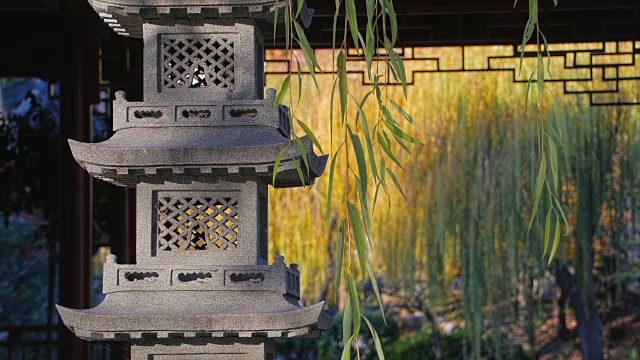 传统的亚洲花园，垂柳和石塔在4k