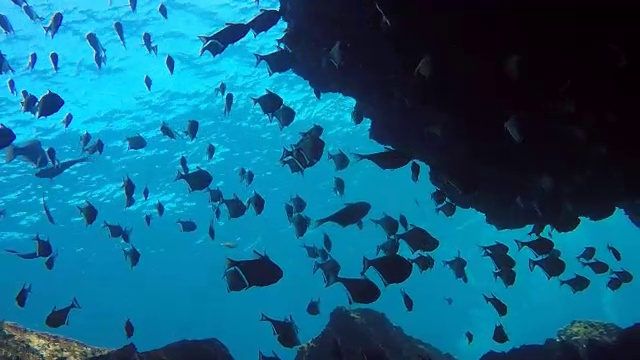 水下深海洞穴，“烟囱”，科哈，甲米，泰国
