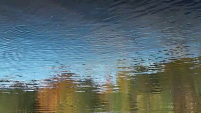 秋天反射背景