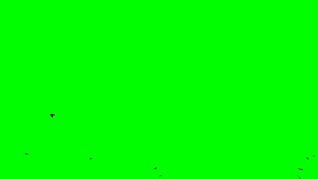 一群鸟在绿色的背景上飞翔