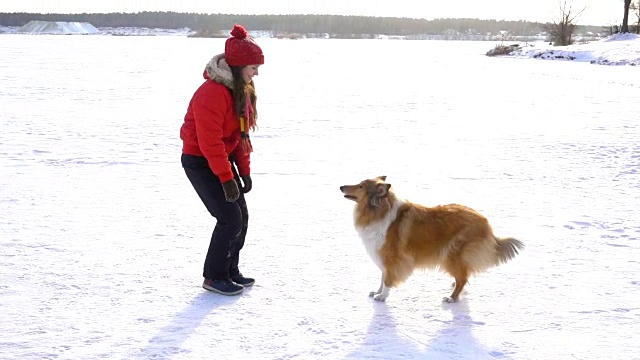 牧羊犬和女孩在雪地上玩耍