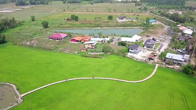 泰国那空那ok的田野和竹桥