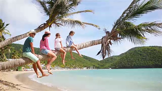 年轻的家庭在海滩度假的棕榈树