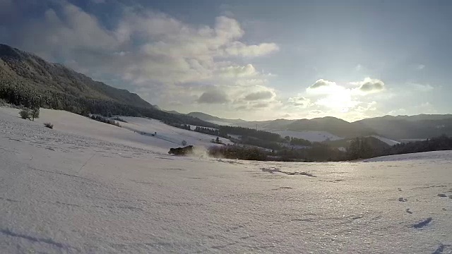 小猎犬在镜头前兴奋地在雪地上奔跑