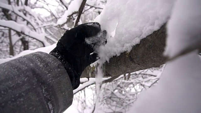 雪花从手中飘落