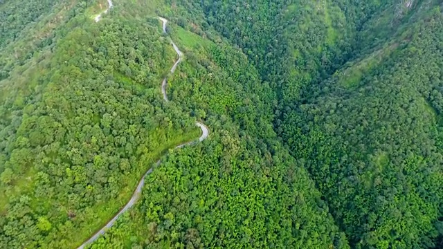 山路和森林的鸟瞰图。