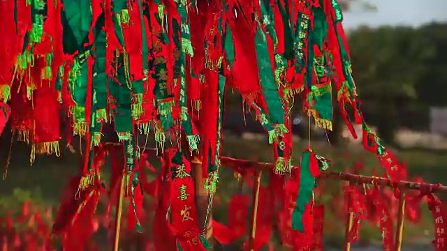 詳情圖-紅旗在中國的鞭炮掛在樹上，意味著財(cái)富，健康，最好的祝愿和好運(yùn)