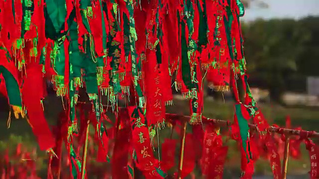 詳情圖-紅旗在中國的鞭炮掛在樹上，意味著財(cái)富，健康，最好的祝愿和好運(yùn)