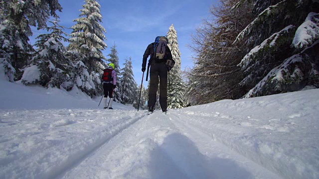 一对夫妇在阳光明媚的日子里越野滑雪