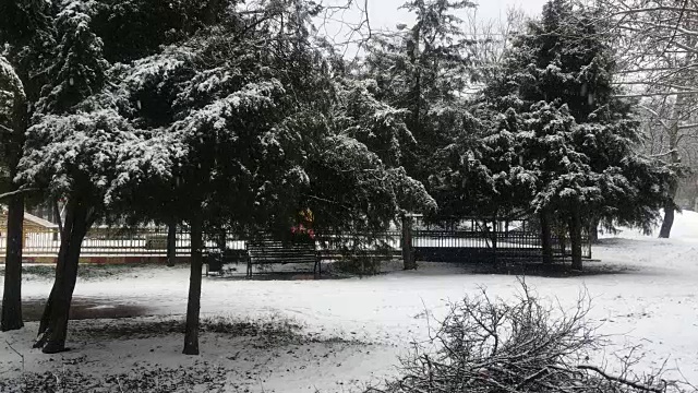 公园里下雪的早晨
