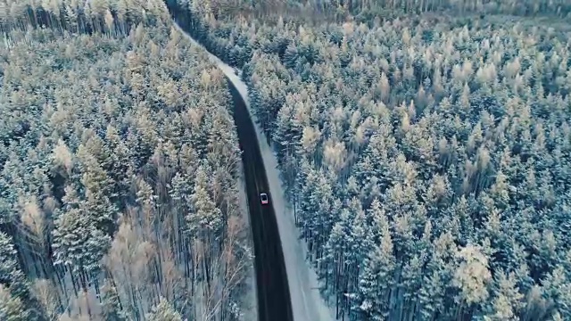 詳情圖-一輛汽車在穿過森林深處的路上行駛的航拍照片。4,k。