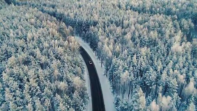 詳情圖-一輛汽車在穿過森林深處的路上行駛的航拍照片。4,k。