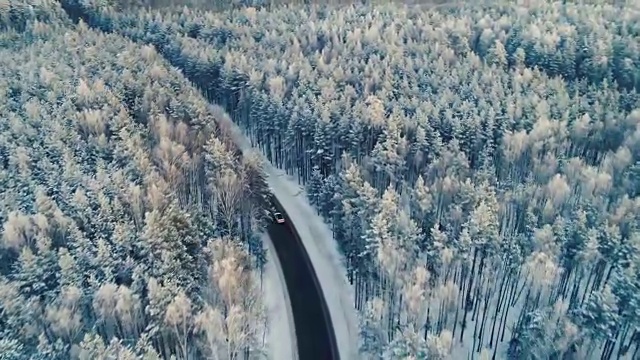 詳情圖-一輛汽車在穿過森林深處的路上行駛的航拍照片。4,k。