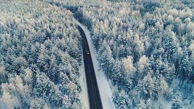 詳情圖-一輛汽車在穿過森林深處的路上行駛的航拍照片。4,k。