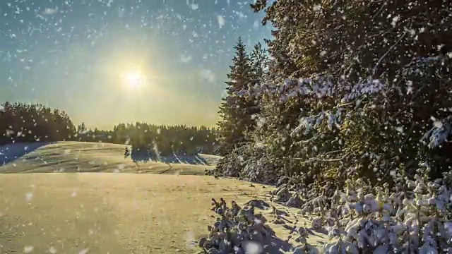 CINEMAGRAPH, 4k，在冬天的森林降雪，循环