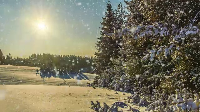 CINEMAGRAPH, 4k，在冬天的森林降雪，循环