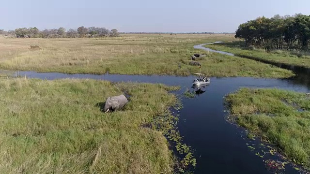 从空中俯瞰一艘观光船，看着大象在奥卡万戈三角洲众多弯曲水道之一的河岸上进食