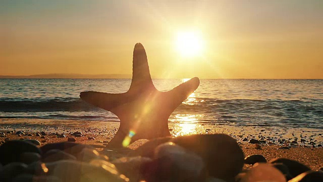 海星日落海