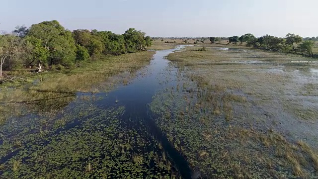 鸟瞰图飞越水路在奥卡万戈三角洲，波斯特瓦纳