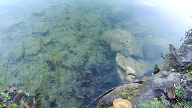 欧洲斯洛文尼亚流血