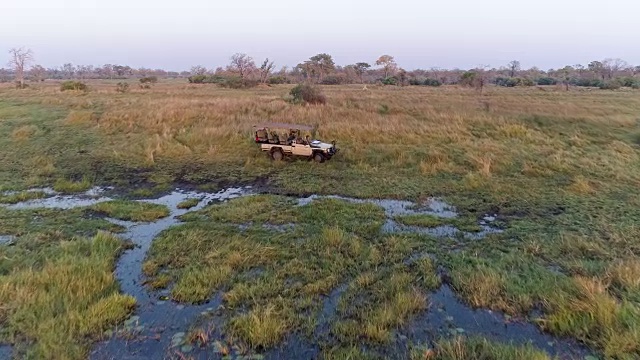 在博茨瓦纳的奥卡万戈三角洲，一群河马在河里游泳，一辆旅游四驱游猎车在看着它们