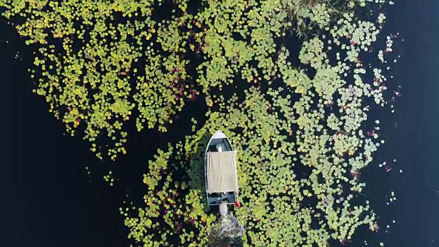 鸟瞰一艘游船在奥卡万戈三角洲的水道中穿行