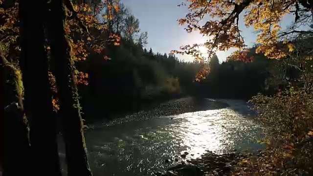 上升的自然空中森林河与秋天的颜色在树叶