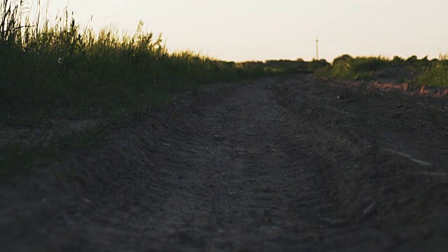 走在田野间的土路上