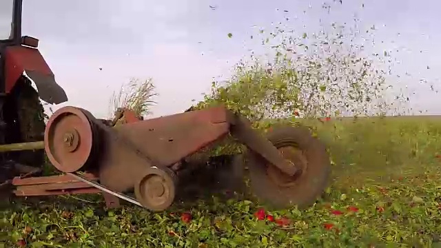 土地种植辣椒田。多莉万向节视频。